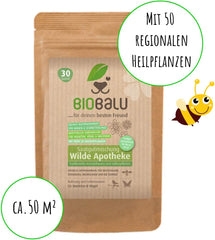Wilde Apotheke - 50 Traditionelle Heilkräuter Samen - Bienenfreundliche Wildblumenwiese, Wildkräuter Samen Mehrjährig & Regional, Arzneipflanzen Saatgutmischung 30 G