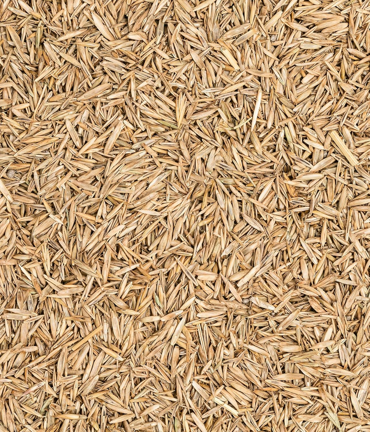 Dehner Saatgut Rasensamen, Mikroklee-Rasen, Hochwertige Saatgutmischung, Selbstdüngend/Selbstkeimend, 625 G, Für Ca. 25 M², Natur
