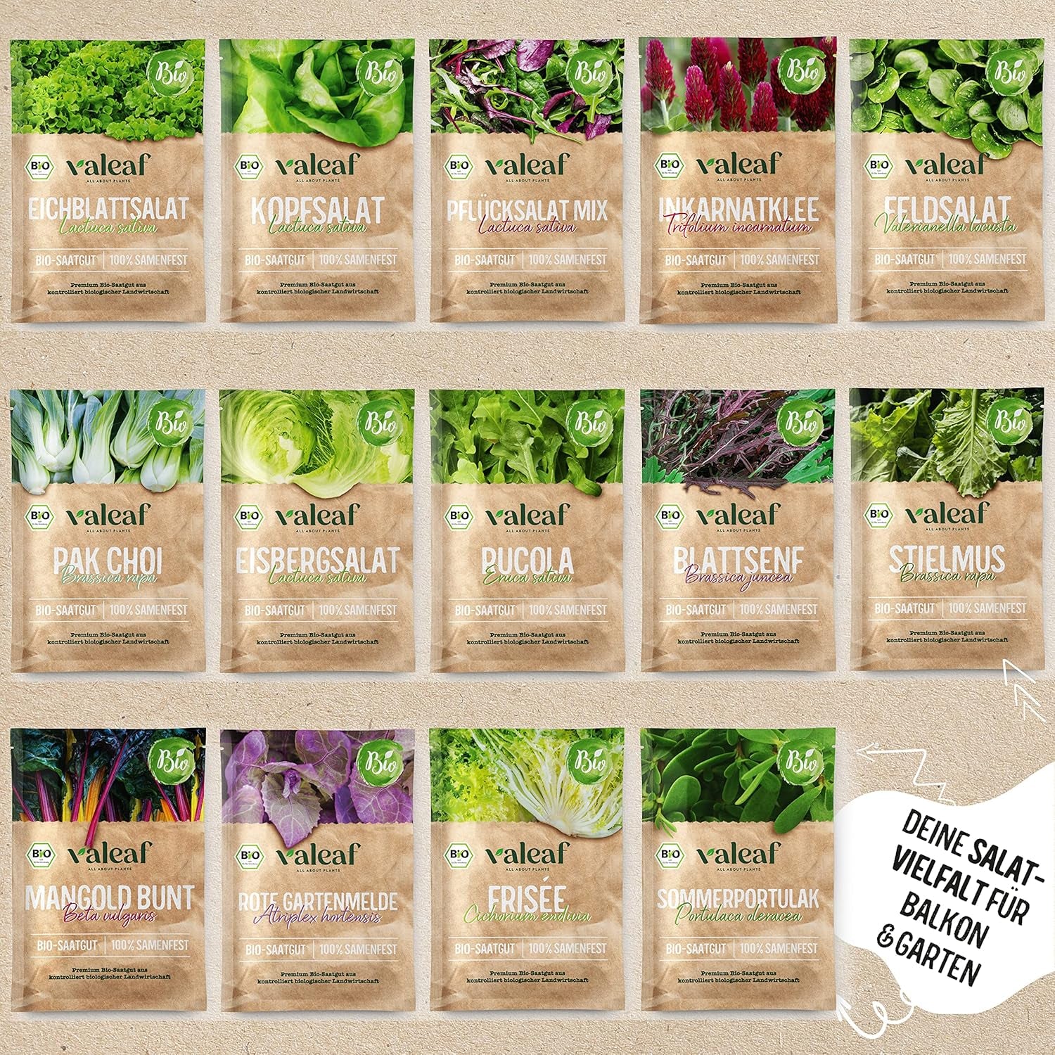 BIO Salat Samen Set - 14 Sorten Salatsamen Aus Biologischem Anbau I Samenfestes Salat Saatgut I Bio Salat Set Für Balkon, Garten Und Hochbeet I 14Er Saatgut Gemüse Inkl. Gemüsesamen Alte Sorten