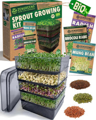 Bio Sprossen Anzuchtschale - Kressesieb 3Er Set - Enthält Keimschale Und Sprossensamen (Kresse, Ur-Brokkoli & Radieschen)
