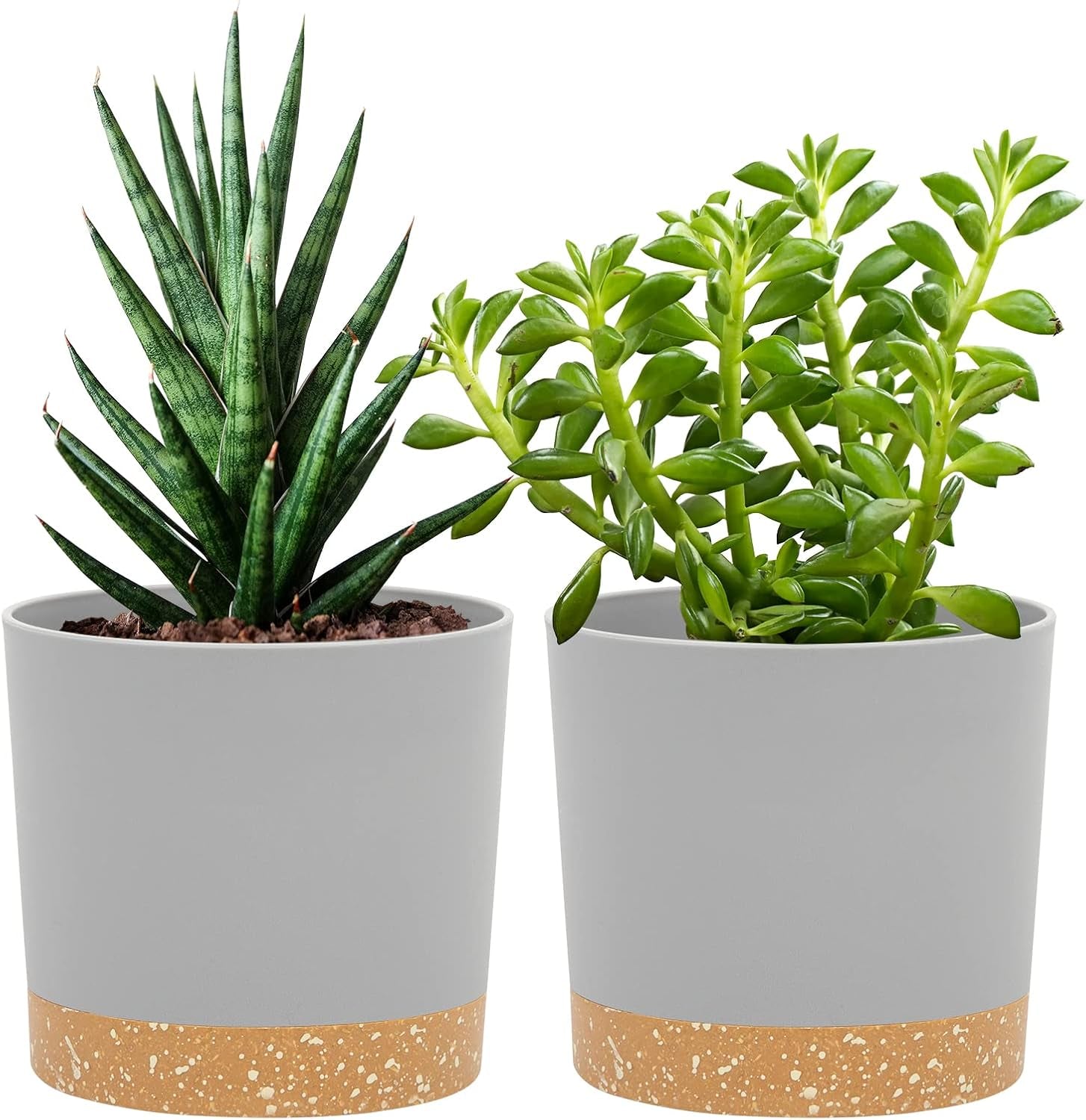 Ghiveci de flori set de 2 12,7 cm, ghivece pentru plante de interior cu găuri de drenaj și bază detașabilă, farfurioare decorative moderne pentru jardiniere de grădină de exterior (alb 12,7 cm)