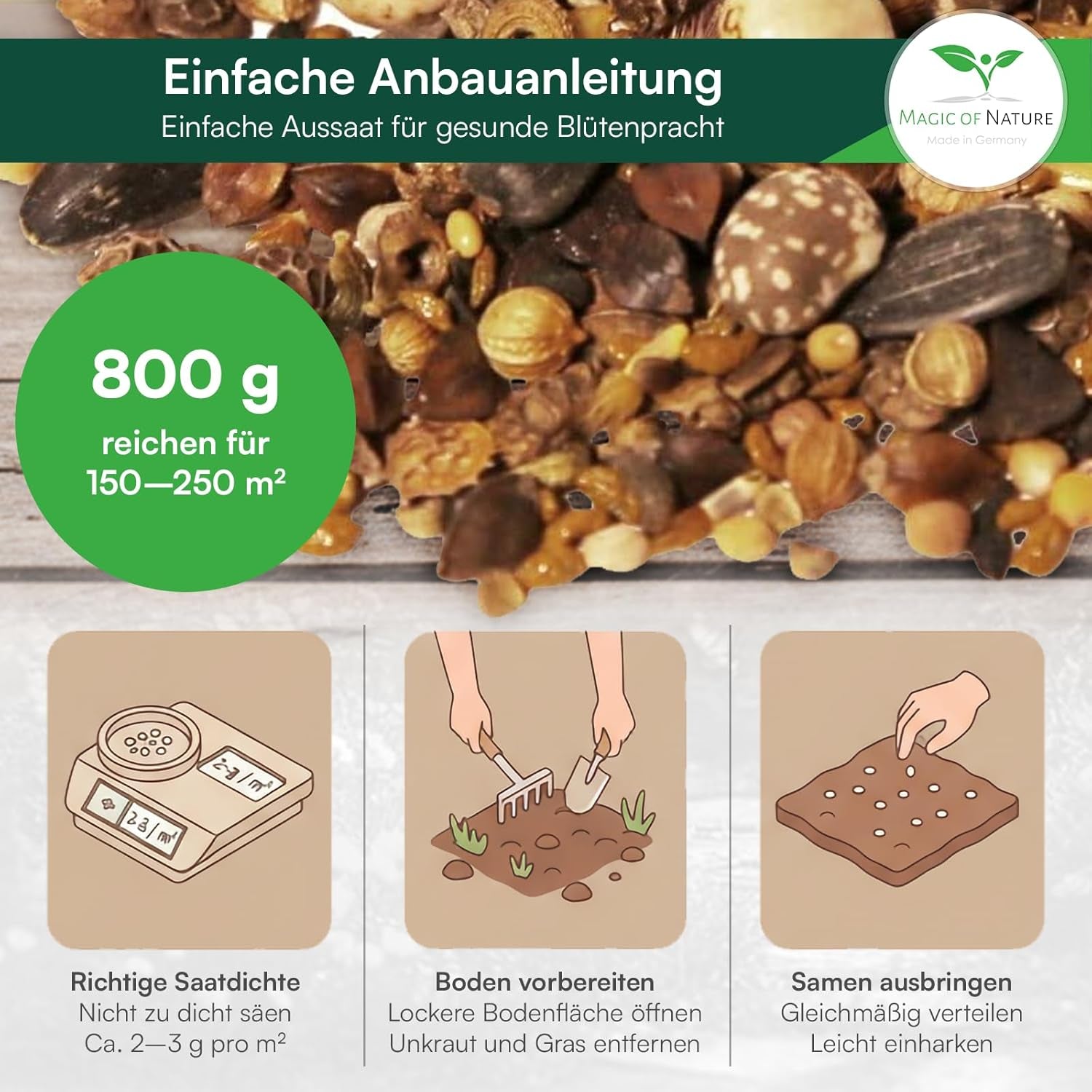 Magic of Nature 800Gr. Blumensamen Mischung - Bienen Paradies - Blühfreudige Bienenweide Für 150 Bis 250 M²
