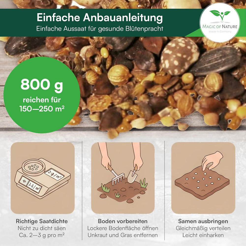 Magic of Nature 800Gr. Blumensamen Mischung - Bienen Paradies - Blühfreudige Bienenweide Für 150 Bis 250 M²
