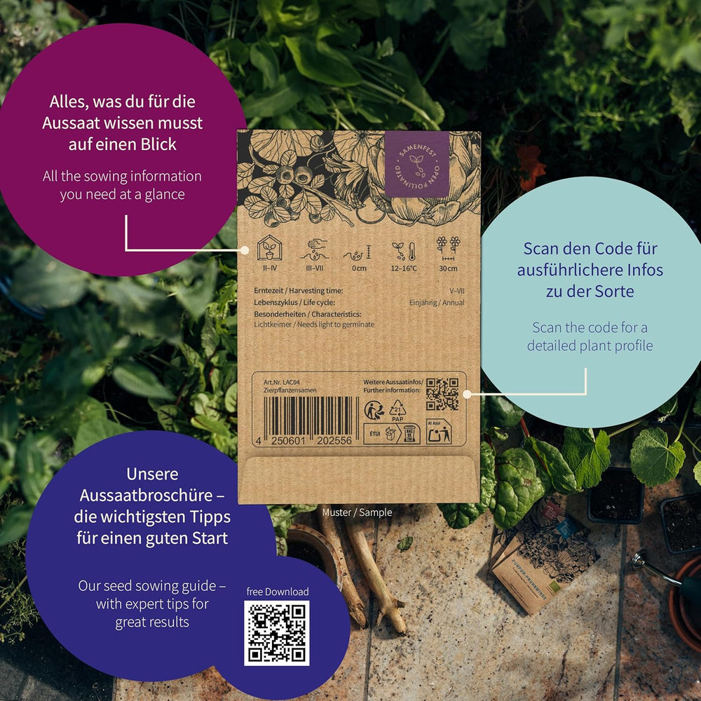 Semințe Magic Garden - Ierburi pentru pisici: Catnip, Valeriană, Salvie și Iarbă de pisică - Cutie cu semințe cu 4 plante pentru joacă, ciugulit și relaxare