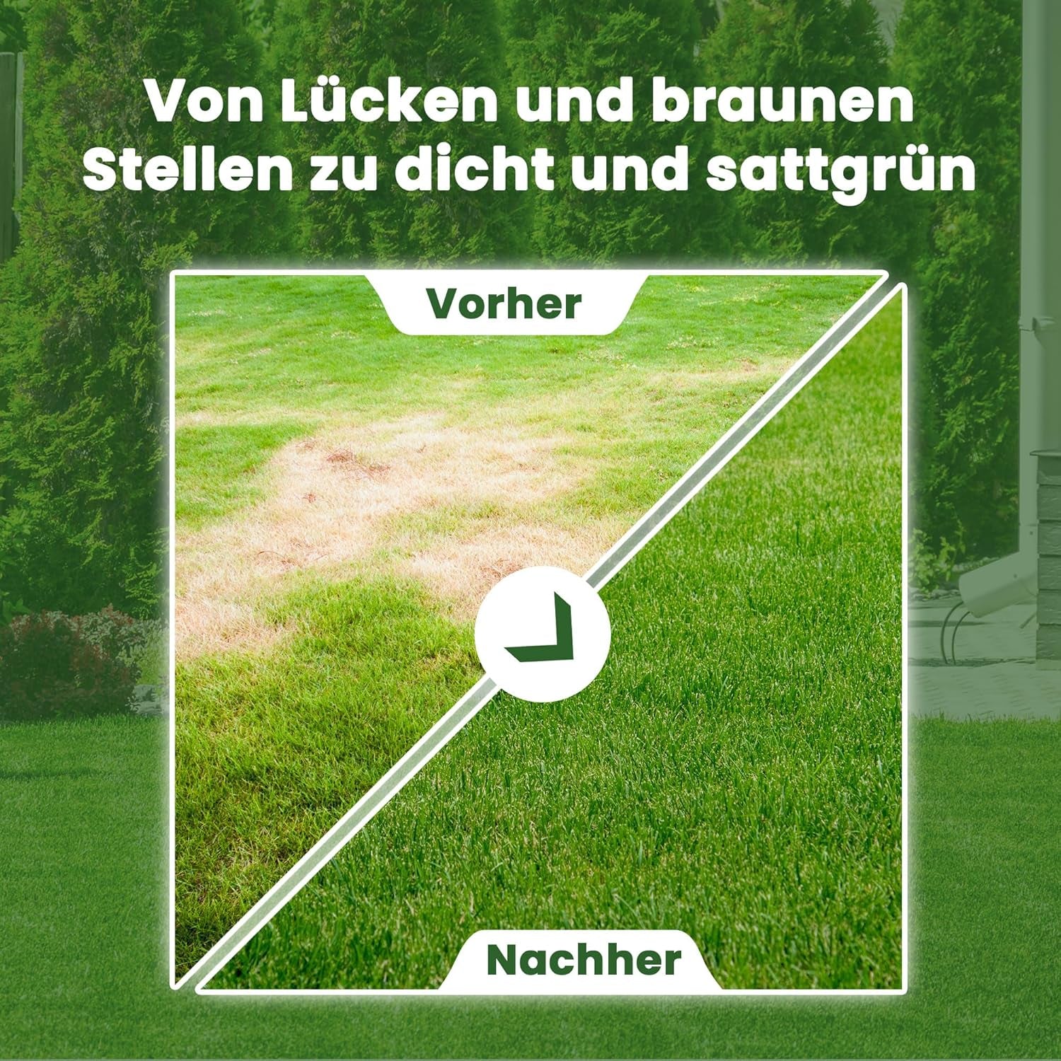 LERAVA® EXPRESS Rasensamen Schnellkeimend Frühjahr (30M²) - Premium Samen Für Trockenrasen & Schattenrasen - Rasensamen Nachsaat Für Lückenlosen Rasen - Grassamen Schnellkeimend - Rasensaat Turbo -