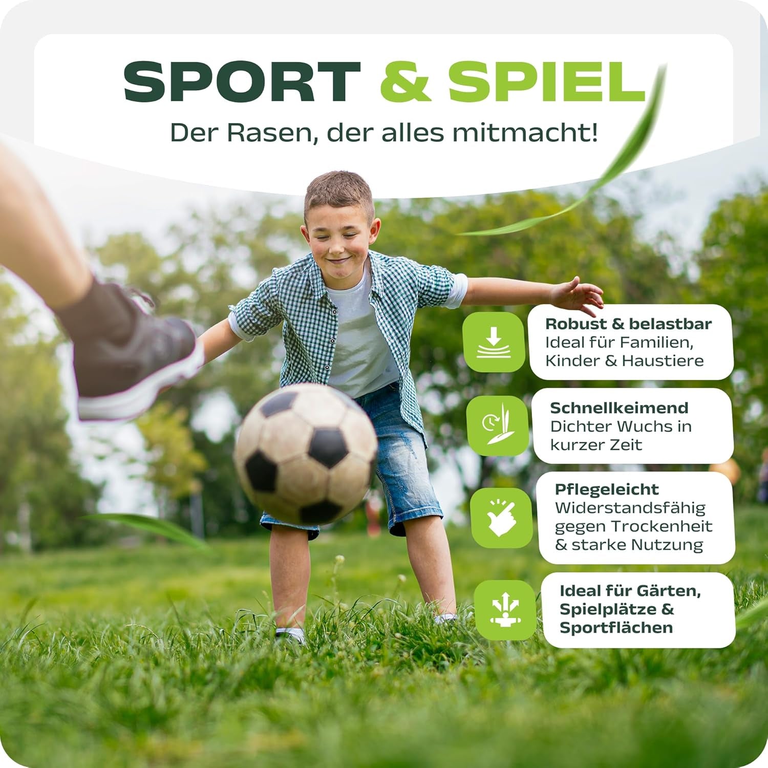 SEHR GUT Getestet | Rasensamen Schnellkeimend 1Kg Für 40M² | Frühjahr Sport Und Spiel Rasen | Grassamen Trockenresistent Für Rasensaat Und Nachsaat