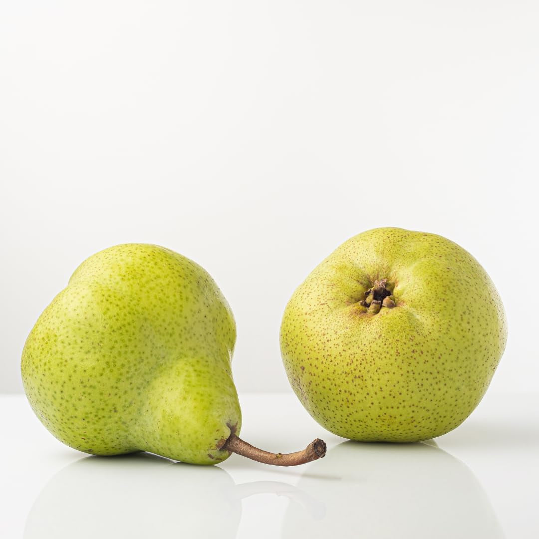 Birnbaum Decana D’Inverno - Obstpflanze Auf Blumentopf 26 - Baum Max 200 Cm – 4 Jahre Anbau Italien
