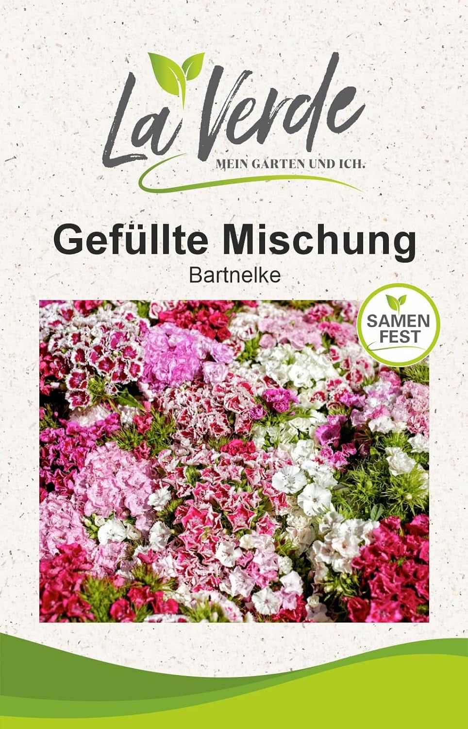 La Verde GRĂDINA MEA ȘI EU. Tagetes Bonita Mix semințe de flori pentru aprox. 100 de plante, gălbenele cu înflorire lungă, flori duble, semințe non-OMG