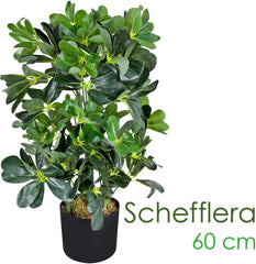 Decovego Schefflera Kunstpflanze, Künstliche Strahlenaralie 60 Cm, Robustes Kunststoffmaterial, Für Innenbereiche, Pflegeleichte Deko