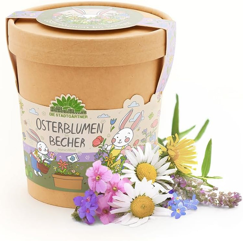 Die Stadtgärtner Möhrchen Im Becher Anzuchtset Für Möhren Im Becher | Enthält Alles, Was Du Zur Anzucht Benötigst | Ostergeschenk Für Kinder | Geschenkidee Kinder Ostern
