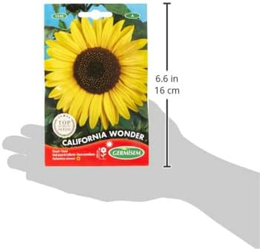 Sonneblume CALIFORNIA WONDER EC1530 Mehrfarbig
