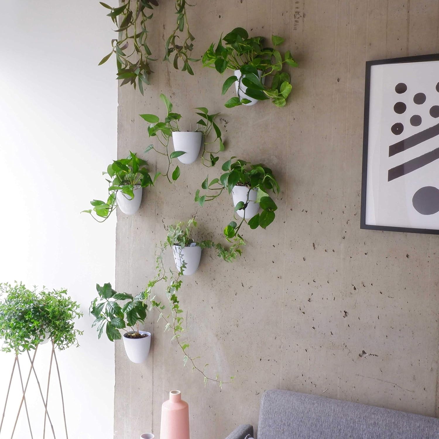 Ghivece de perete cu auto-udare Virgo (Set de 6) - Ușor de udat și instalat - Ușoare - Creează-ți propria grădină verticală - Ghivece de perete pentru plante de interior
