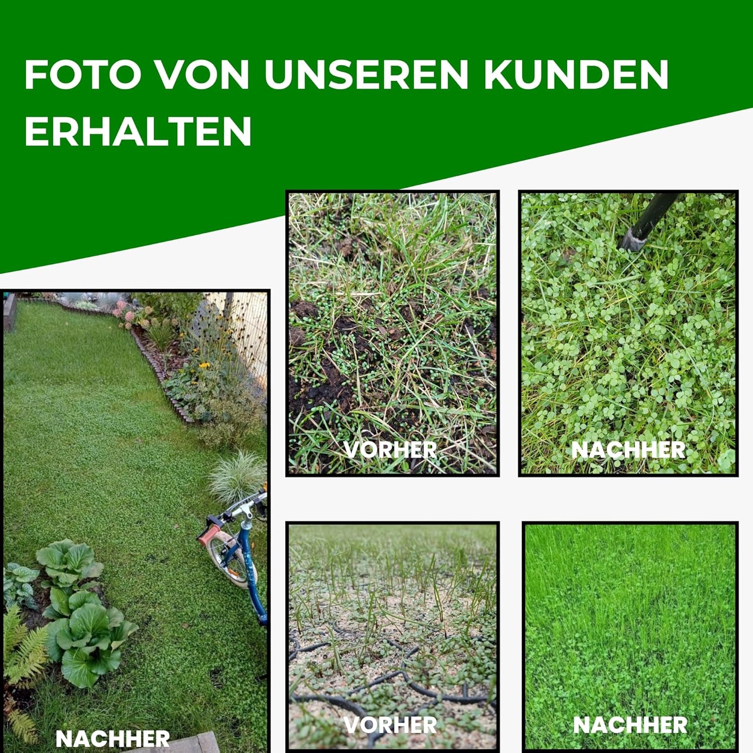 Mikroklee - Weißklee Trifolium Repens 500G - Rasenklee Bereichert Den Rasen - Klee Samen Zur Anlockung Von Bienen -Saatgut Für Gleichmäßige, Dichte Grasnarbe Das Ganze Jahr Über