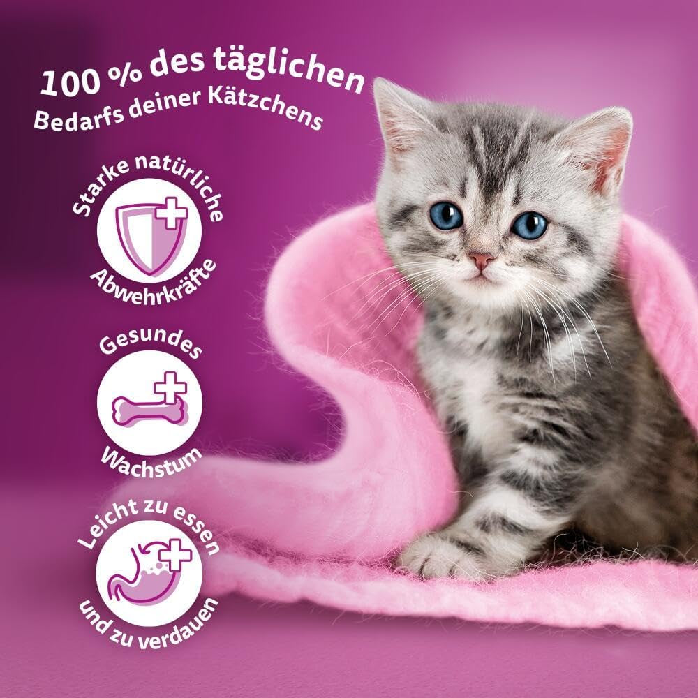 WHISKAS Junior Pliculețe pentru Hrană Umedă, Pachet Multiplu, Selecție de Carne de Păsări în Jeleu, 12 x 85g