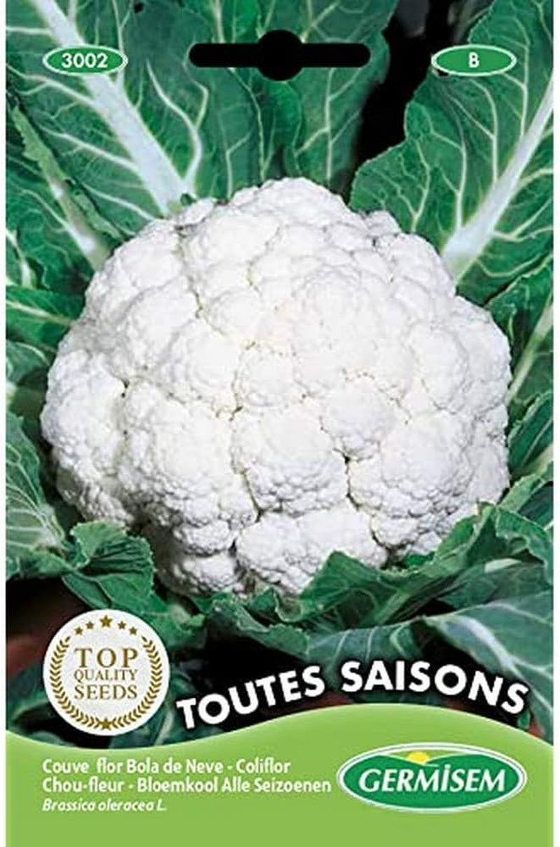 Blumenkohl ALL the YEAR ROUND