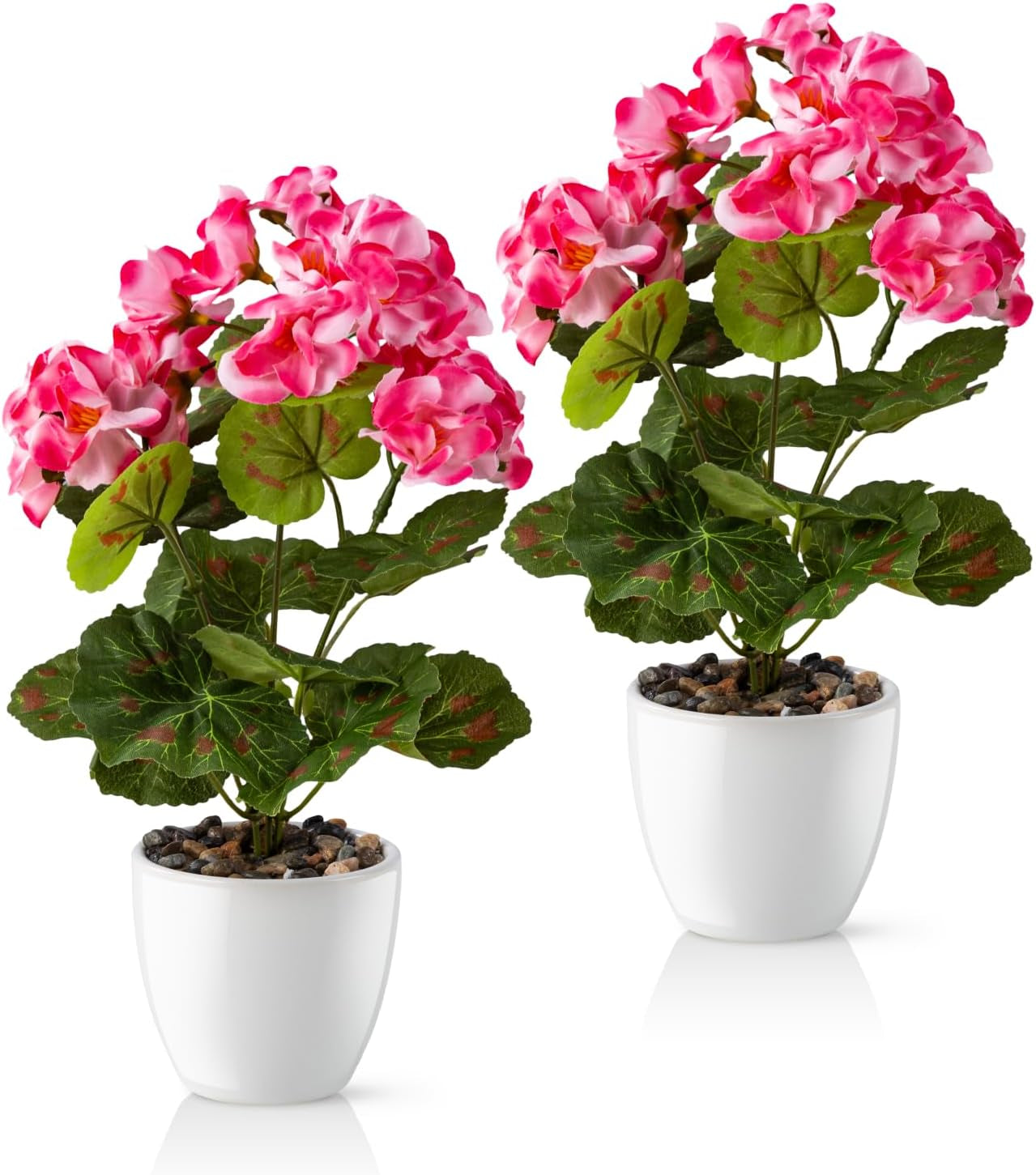 PASCH® Begonie Im Hochglanz-Keramiktopf | Kunstblumen Im Topf | Künstliche Blumen Wie Echt | Fake Blumen | Kunstblumen Wie Echt (Japanische Begonie, 3 Stück, 16Cm)