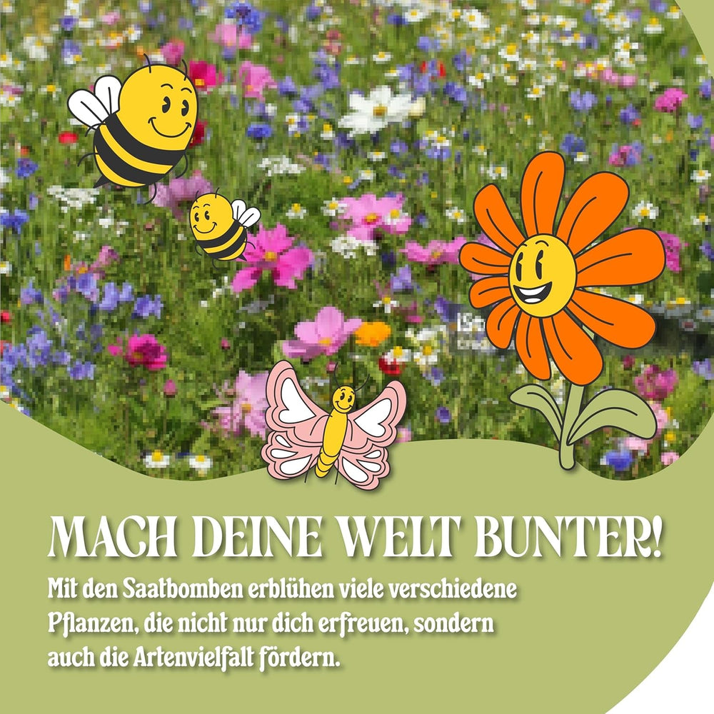 LouMaxx Set de bombe cu semințe lucrate manual 10x3, cadou cu bombă cu semințe, semințe de flori ca favoruri de petrecere, semințe sustenabile pentru cadouri de petrecere pentru copii, bile de plantare ecologice cu peste 50 de tipuri de semințe de flori