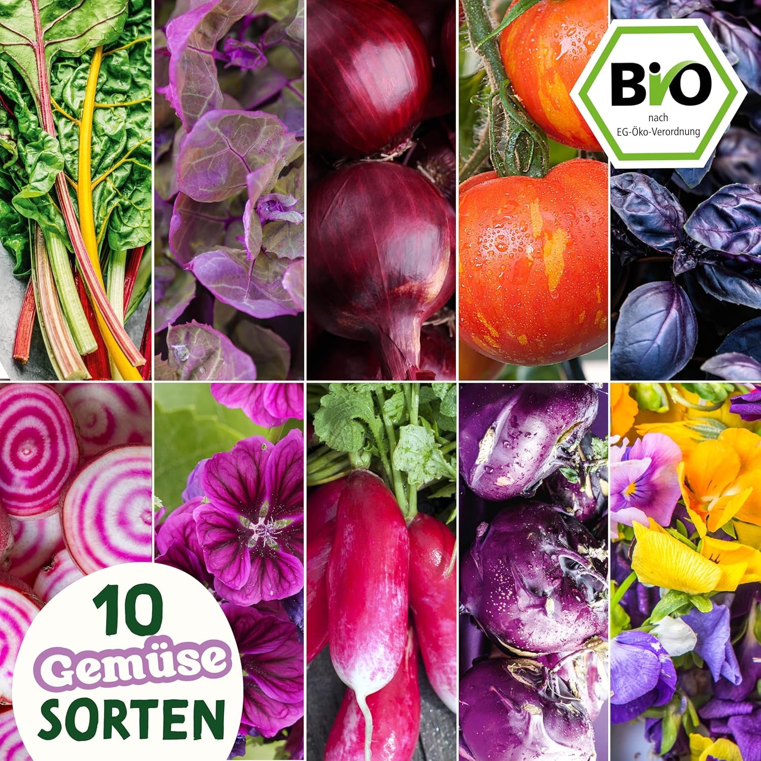 BIO Verrücktes Gemüse Samen Set I Saatgut Set Mit Besonderen Gemüsesamen I Züchte Buntes Gemüse I Mini Pflanzset I Crazy Veg I Gemüse Samen Set I Garten Anzuchtset Gemüsesamen Geschenk