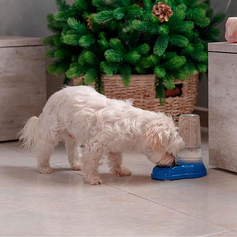 Ferplast AZIMUT 600 Dispenser de hrană și apă pentru câini și pisici, capacitate 0,6 litri, bază antiderapantă, 12,5 x 19 x Î 19,5 cm, albastru