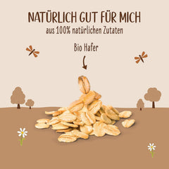 Allos Bio Haferdrink Barista | Milchalternative aus Hafer | Schaumbarer Drink auf Pflanzenbasis | Perfekt für Kaffee | Veganer, laktosefreier Drink | 1 Liter (6 Stück)