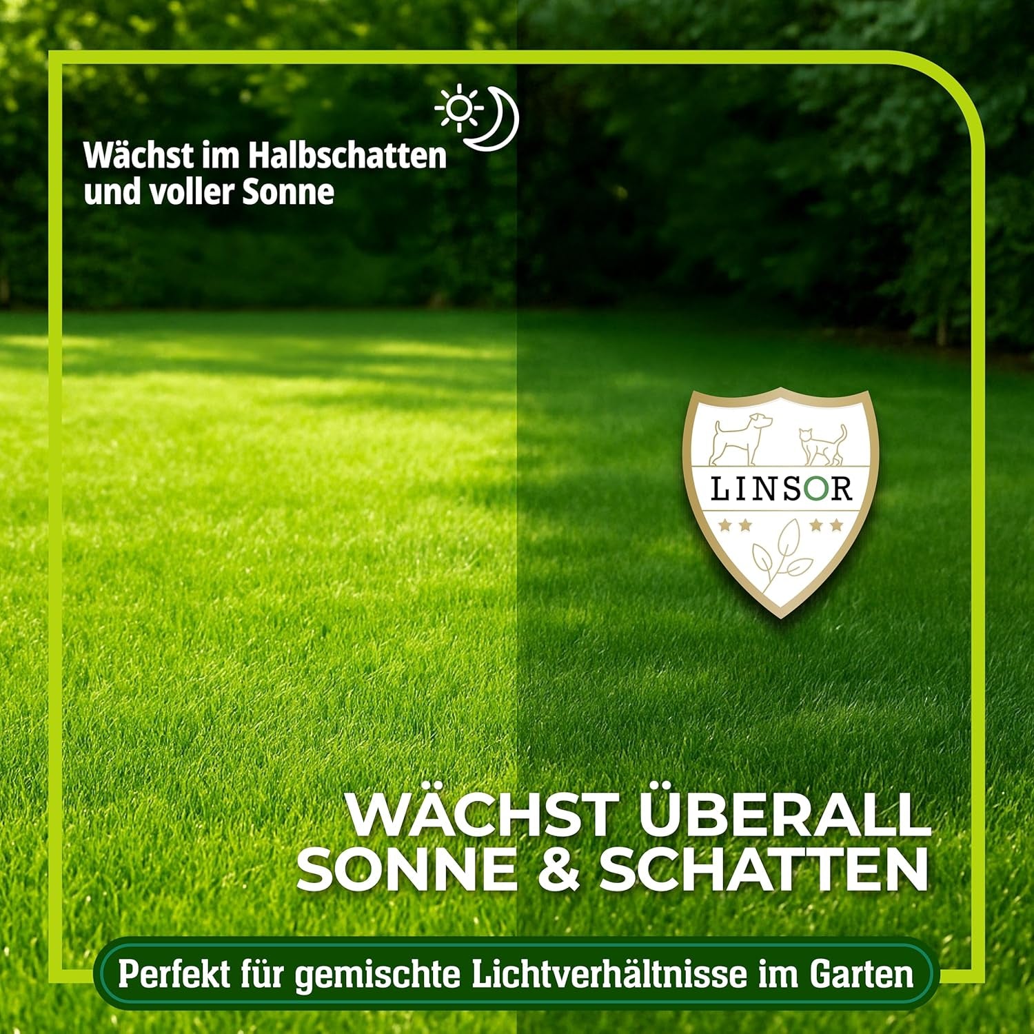 Rasensamen Schnellkeimend – Zauberrasen 4 Kg Für 200 M² Schnell Wachsender Rasen Mit Schneller Begrünung Pflegeleicht Für Dichten Gleichmäßigen Rasen