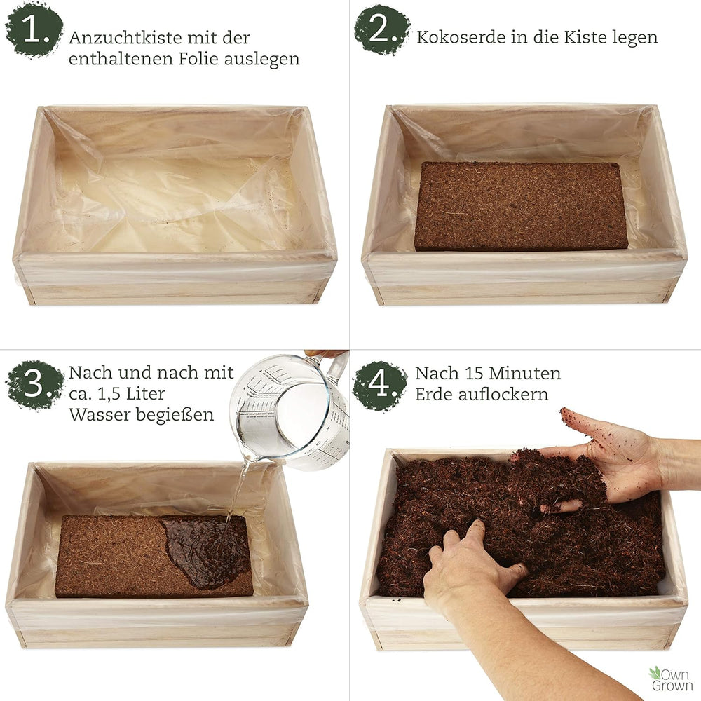 Kit de cultivare a semințelor cu cutie de lemn și 8 varietăți de semințe de plante: Kit de cultivare pentru copii cu semințe de legume, căpșuni și plante aromatice – Kit de început pentru mini seră și mini grădină de la OwnGrown