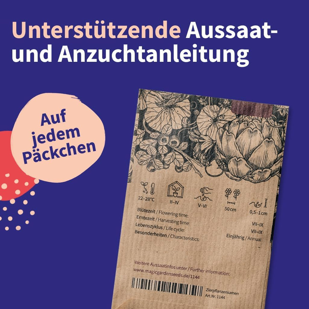 Magic Garden Seeds - 12 Samenfeste Heilkräutersamen Für Garten, Hochbeet & Balkon - Traditionell & Wohltuend - Kräutersamen - Saatgut - Kräuter Samen Set - Geschenk Für Gartenliebhaber