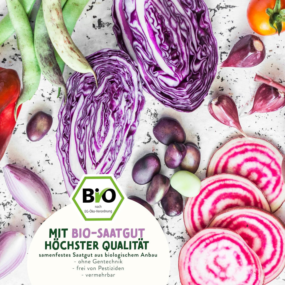 BIO Verrücktes Gemüse Samen Set I Saatgut Set Mit Besonderen Gemüsesamen I Züchte Buntes Gemüse I Mini Pflanzset I Crazy Veg I Gemüse Samen Set I Garten Anzuchtset Gemüsesamen Geschenk