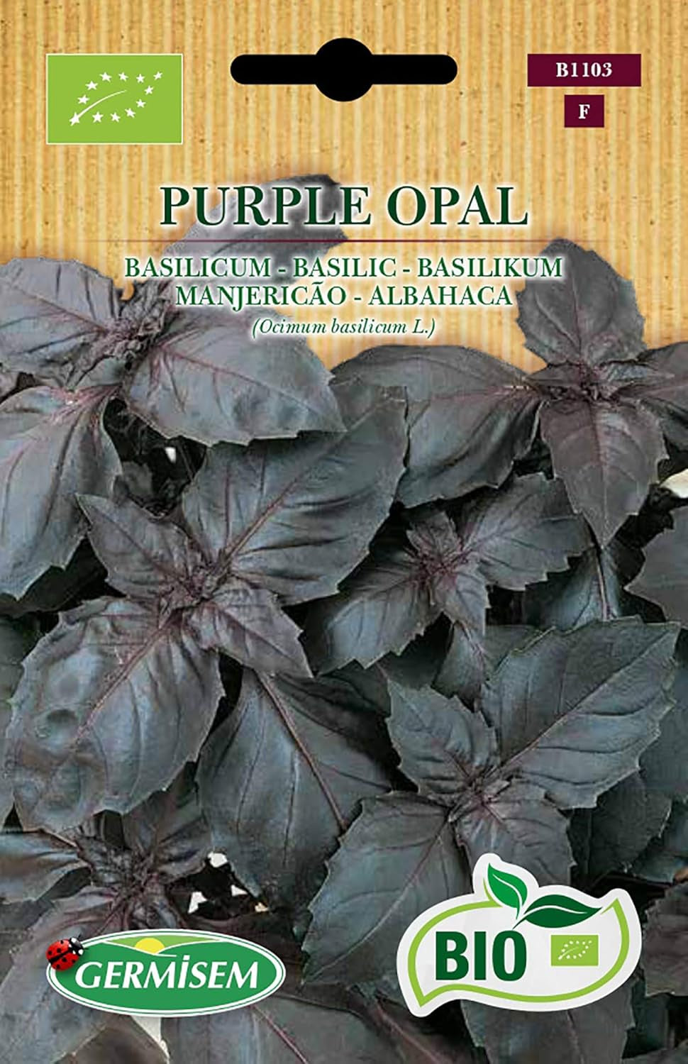 Basilikum PURPLE OPAL, ECBIO1103