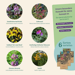 Semințe Magic Garden - Cutie cu semințe de plante parfumate - Magie florală pentru balcon, strat de flori și simțuri - Semințe cu polenizare liberă, flori fermecătoare ca idee de cadou pentru pasionații de grădinărit