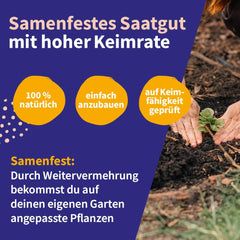 Magic Garden Seeds - 12 Samenfeste Heilkräutersamen Für Garten, Hochbeet & Balkon - Traditionell & Wohltuend - Kräutersamen - Saatgut - Kräuter Samen Set - Geschenk Für Gartenliebhaber