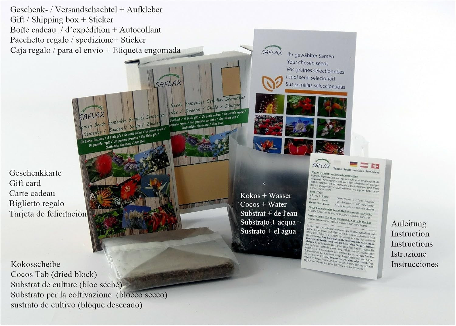 SAFLAX - BIO - Păpădie - 400 semințe - Taraxacum officinale