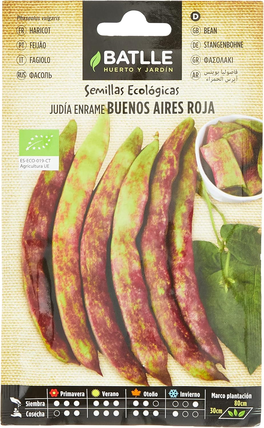 Bio Samen - Rote Rankbohnen Buenos Aires (20-50 Samen - Bio)