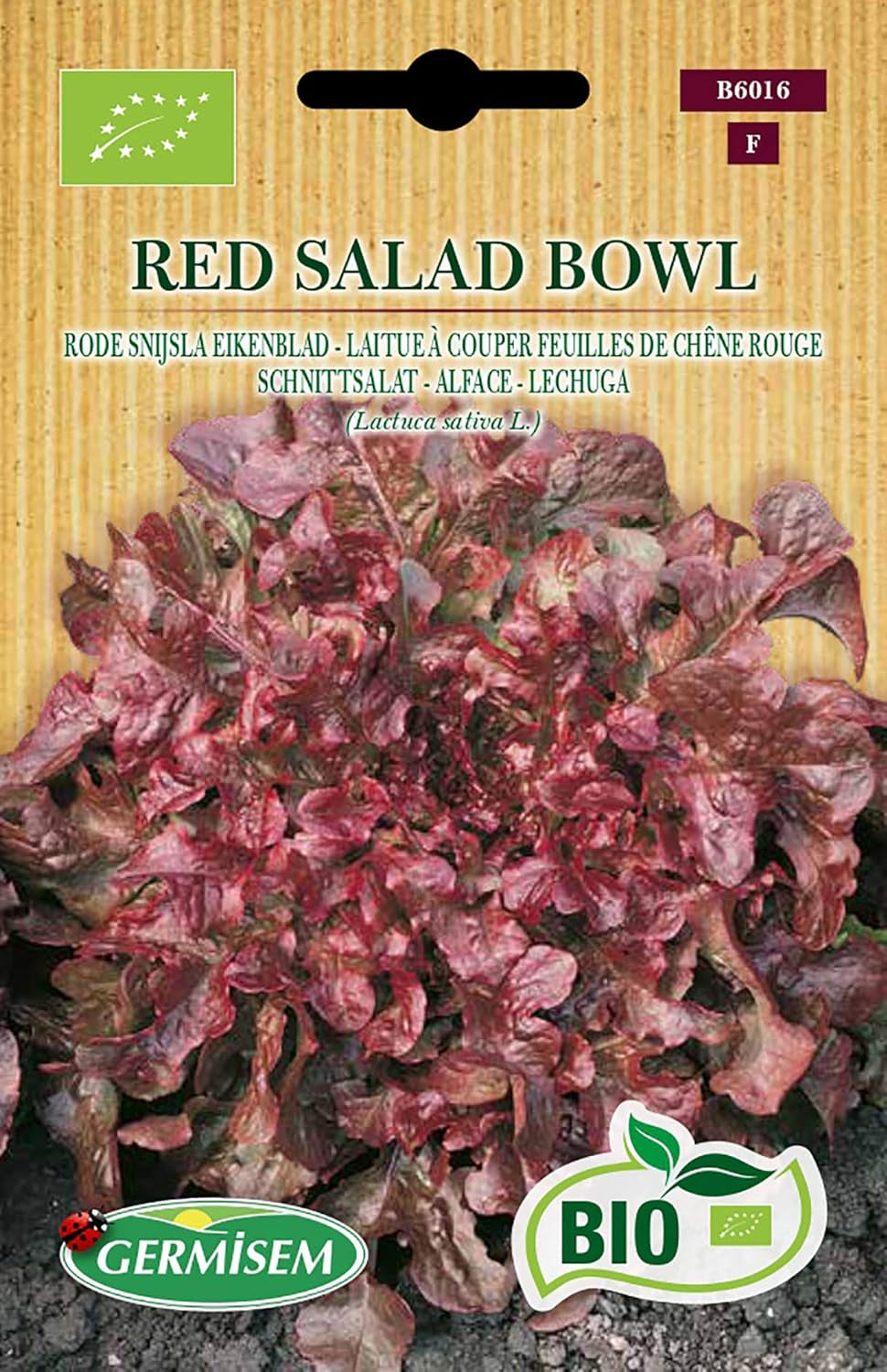Schnittsalat BABY LEAF ASIAN MIX, ECBIO6022