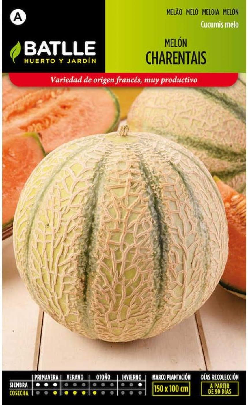 Batlle Gemüsesamen - Honigmelone Charentais (175 Samen)