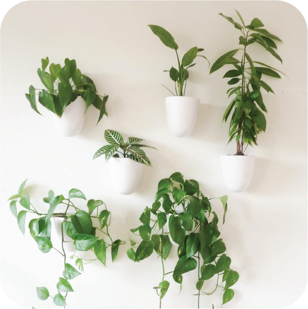 Ghivece de perete cu auto-udare Virgo (Set de 6) - Ușor de udat și instalat - Ușoare - Creează-ți propria grădină verticală - Ghivece de perete pentru plante de interior