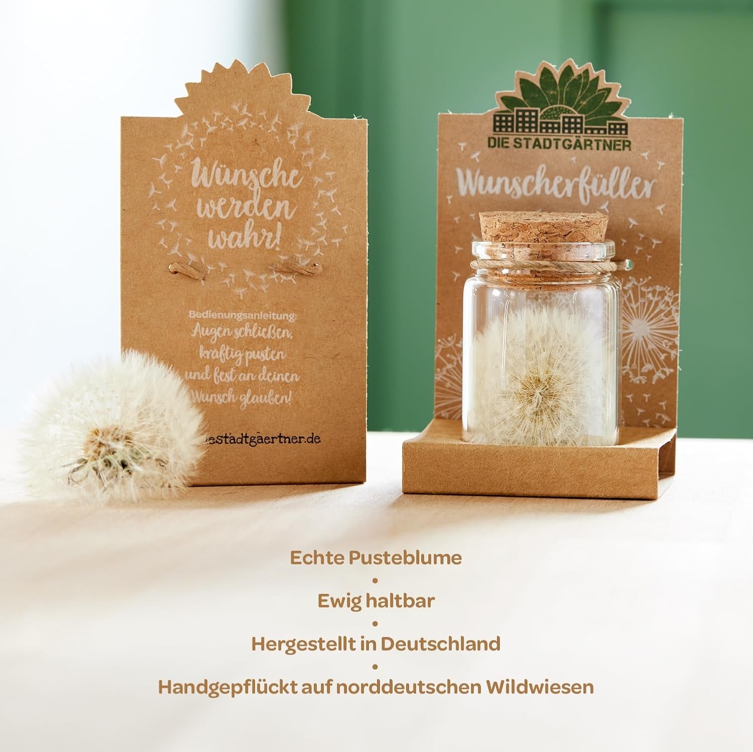 Die Stadtgärtner – 3X Wunscherfüller I Echte Pusteblume Im Glas I Ewig Haltbar I Perfekte Geschenkidee Für Jeden Anlass I Geschenke Für Frauen & Freundin