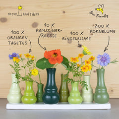 Blumensamen-Geschenkset GOURMET BLUMEN - 4 Sorten Essbare Blüten, Mit Biologischem Starterdünger