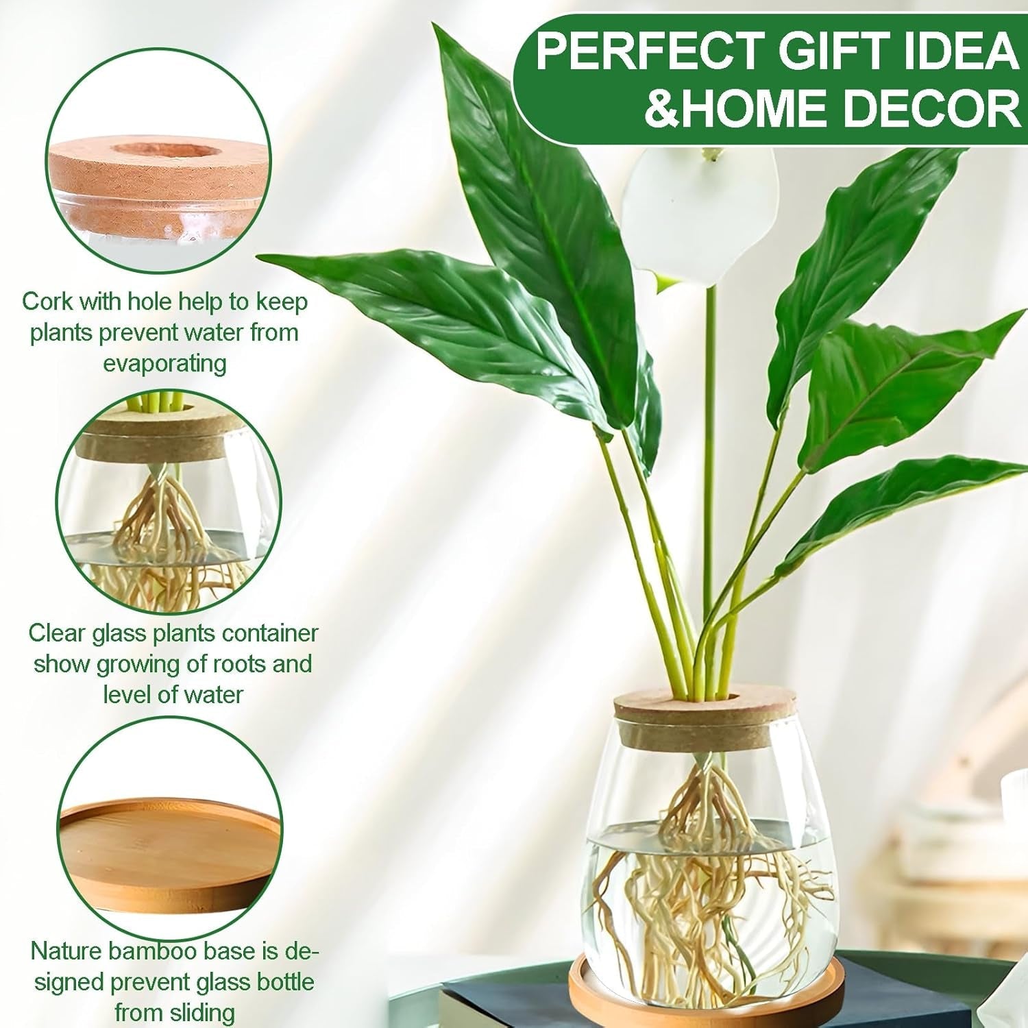 Stație de creștere a plantelor hidroponice, 12 x 11 cm, vază pentru semințe de avocado, ghiveci din sticlă, vază hidroponică din sticlă pentru plante acvatice sau flori, decor de masă pentru birou, 2 bucăți