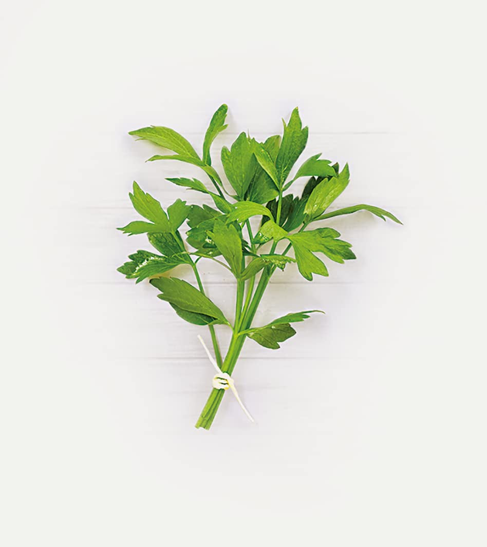 Lebensbaum Liebstöckel geschnitten, Bio-Gewürz mit würzigem Geschmack, Maggi-Kraut für Suppen, Marinaden, Fleisch- und Fisch-Gerichte, vegan, 15g