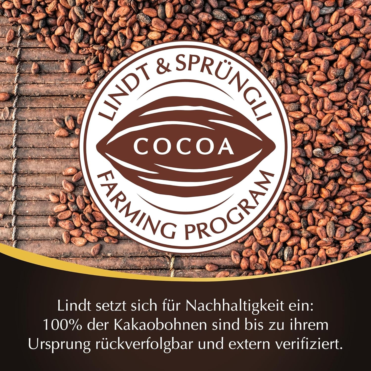 Lindt Ciocolată | Bețișoare LINDOR 60% Cacao | 100g | 4 bețișoare de ciocolată cu ciocolată neagră 60% cacao și umplutură care se topește în gură | Bețișor de ciocolată