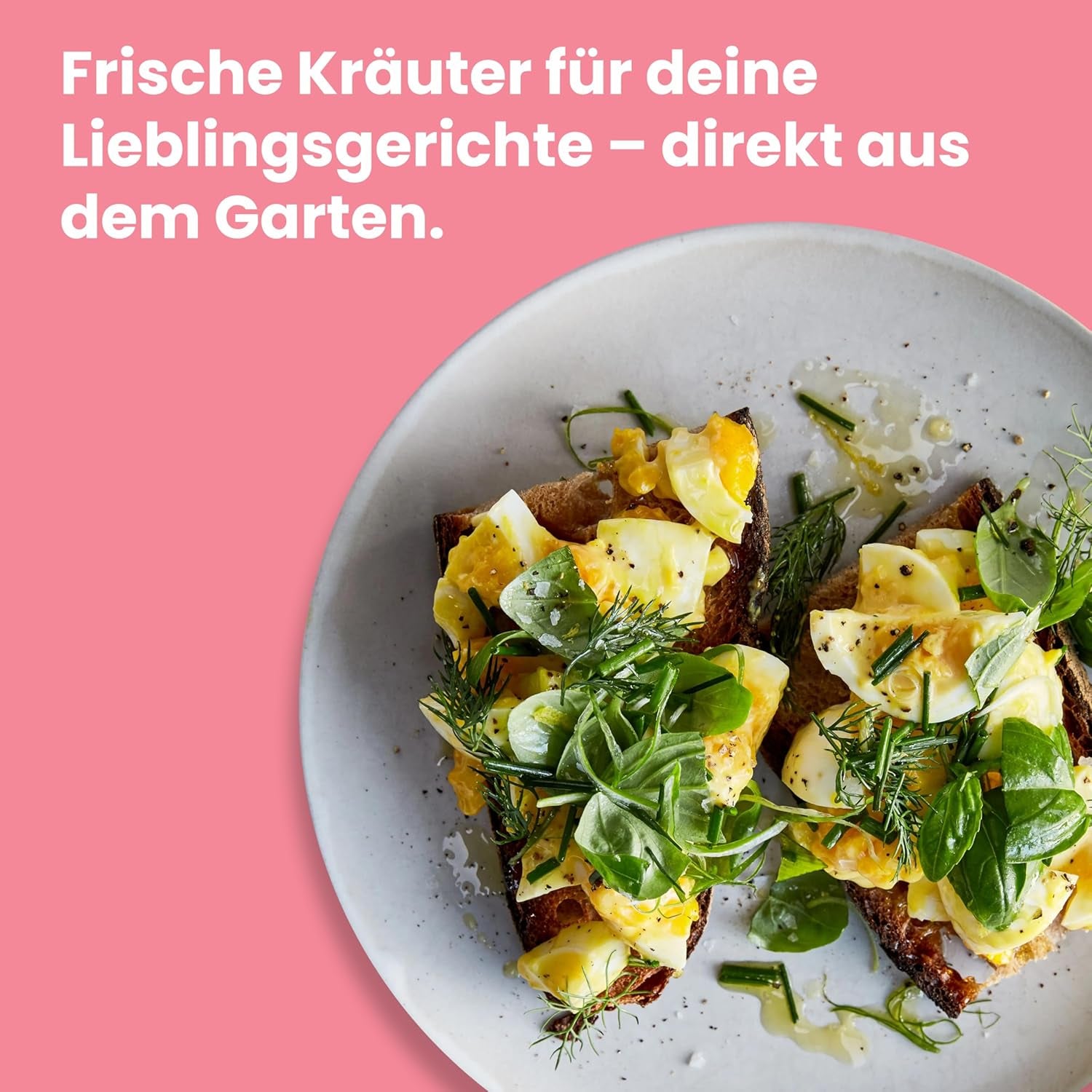 LERAVA Kräutersamen Set – 12 Sorten: Basilikum Samen, Petersilie Samen, Koriander, Oregano & mehr – Saatgut für frische Kräuter im Garten oder Topf, Premium Samen für Küche & Balkon - Samen set, seeds