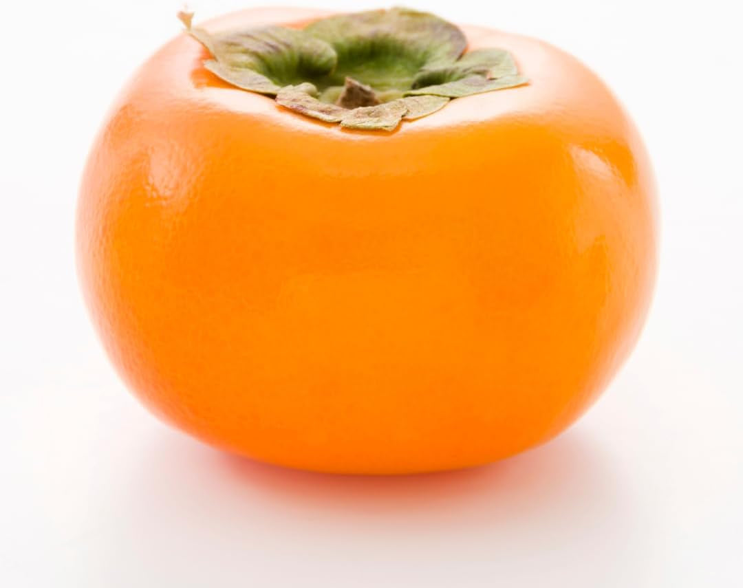 Kakibaum — Vainiglia Vaniglia — Obstpflanze Im Topf Ø 24-26 Cm — Max. Höhe 170-180 — 4 Jahre Alt
