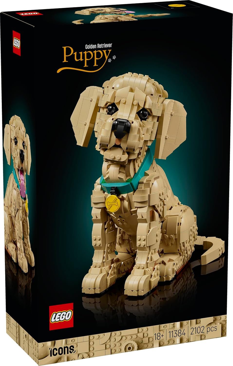 LEGO Icons Golden Retriever Welpe - Modellbau für Erwachsene - 3D Tierfigur zum Ausstellen mit Halsband & Medaille - DIY Deko für Regal oder Schreibtisch - Geschenkidee für Kunst- & Bastelfans - 11384