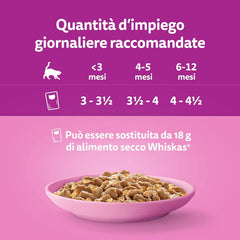 Hrană umedă pentru pisici Whiskas, Junior Classic, 13 x 4 x 85 g
