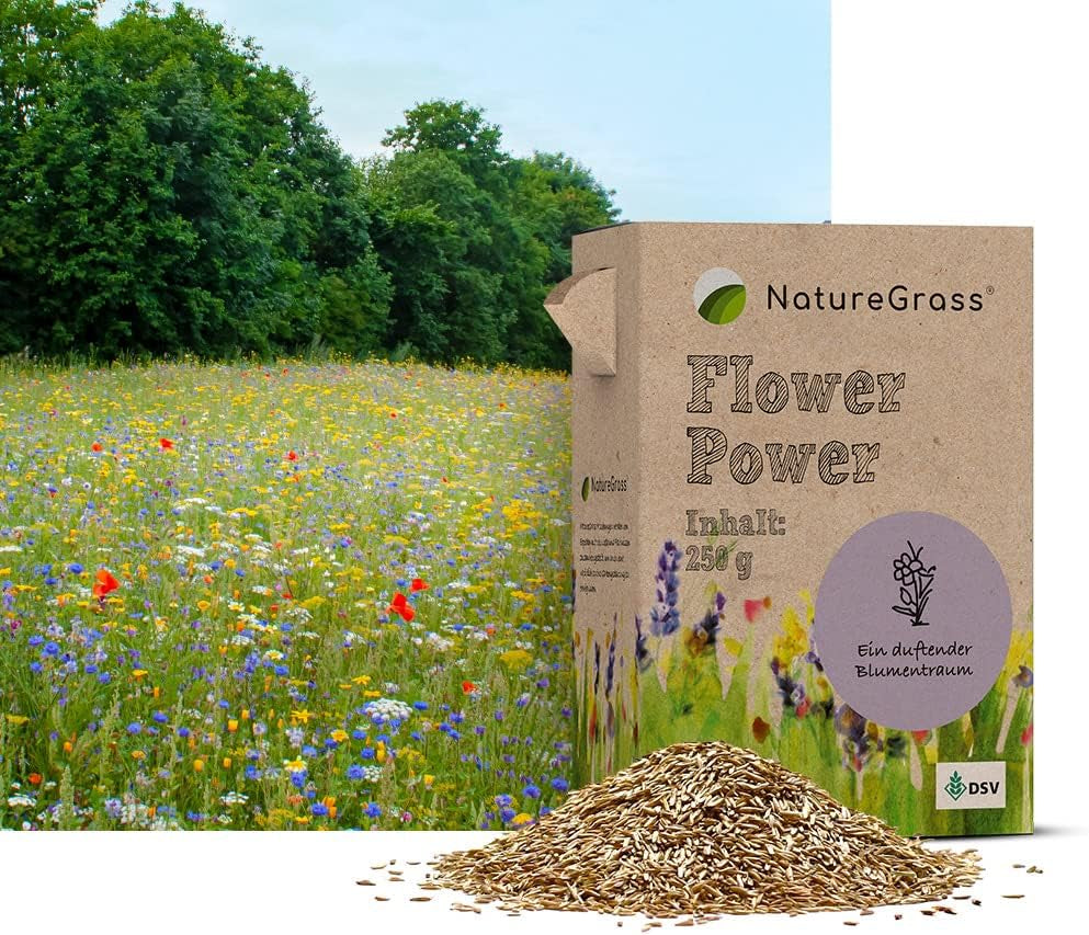 Flowerpower | Blumenmischung Mehrjährig Winterhart | Wildblumensamen Für Eine Blütenreiche Blumenwiese | Bienenfreundliche Blumensamen Für Garten & Balkon | 250G Für 65 M²