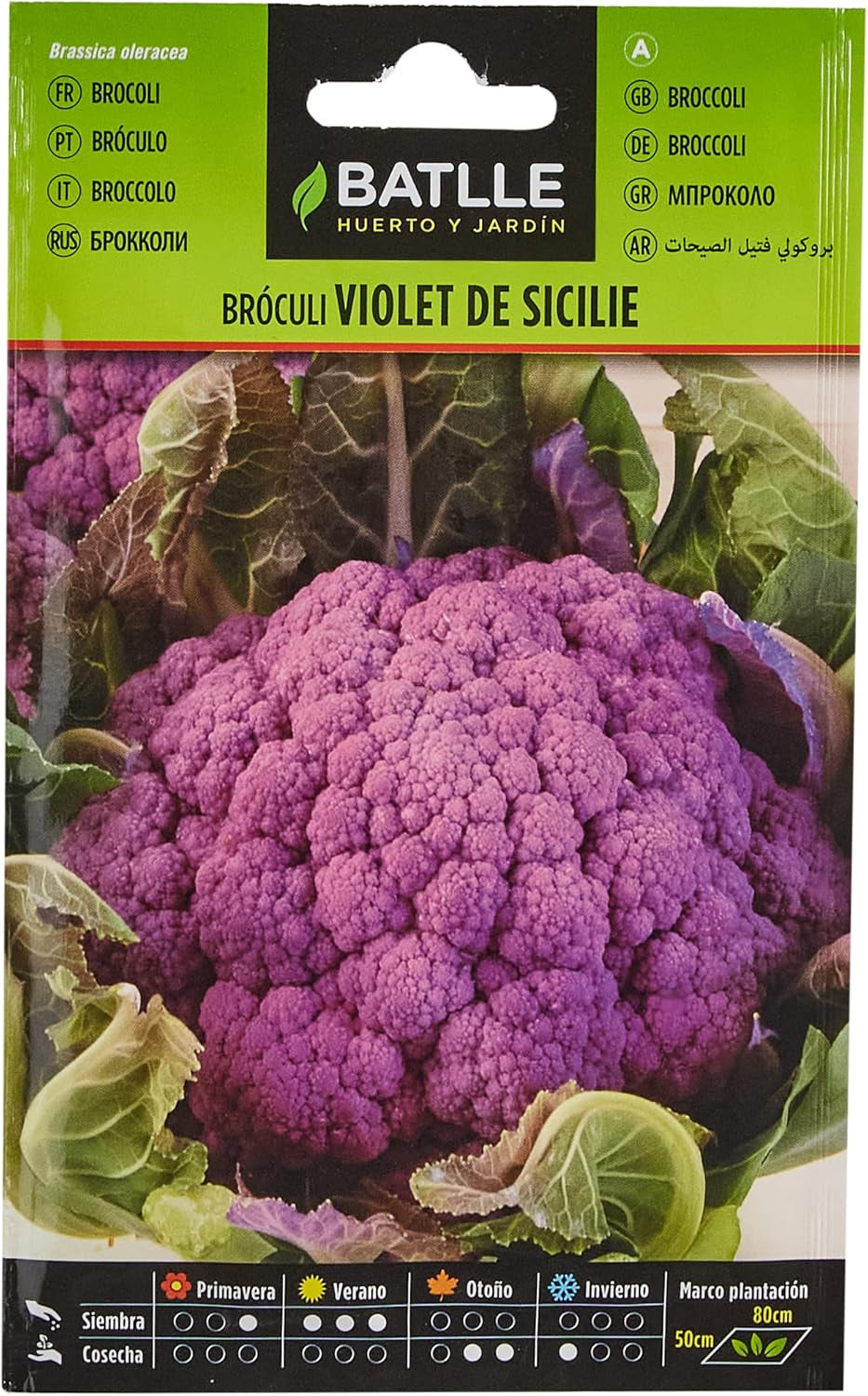 Batlle Gemüsesamen - Brokkoli Violett Sicile (Samen)