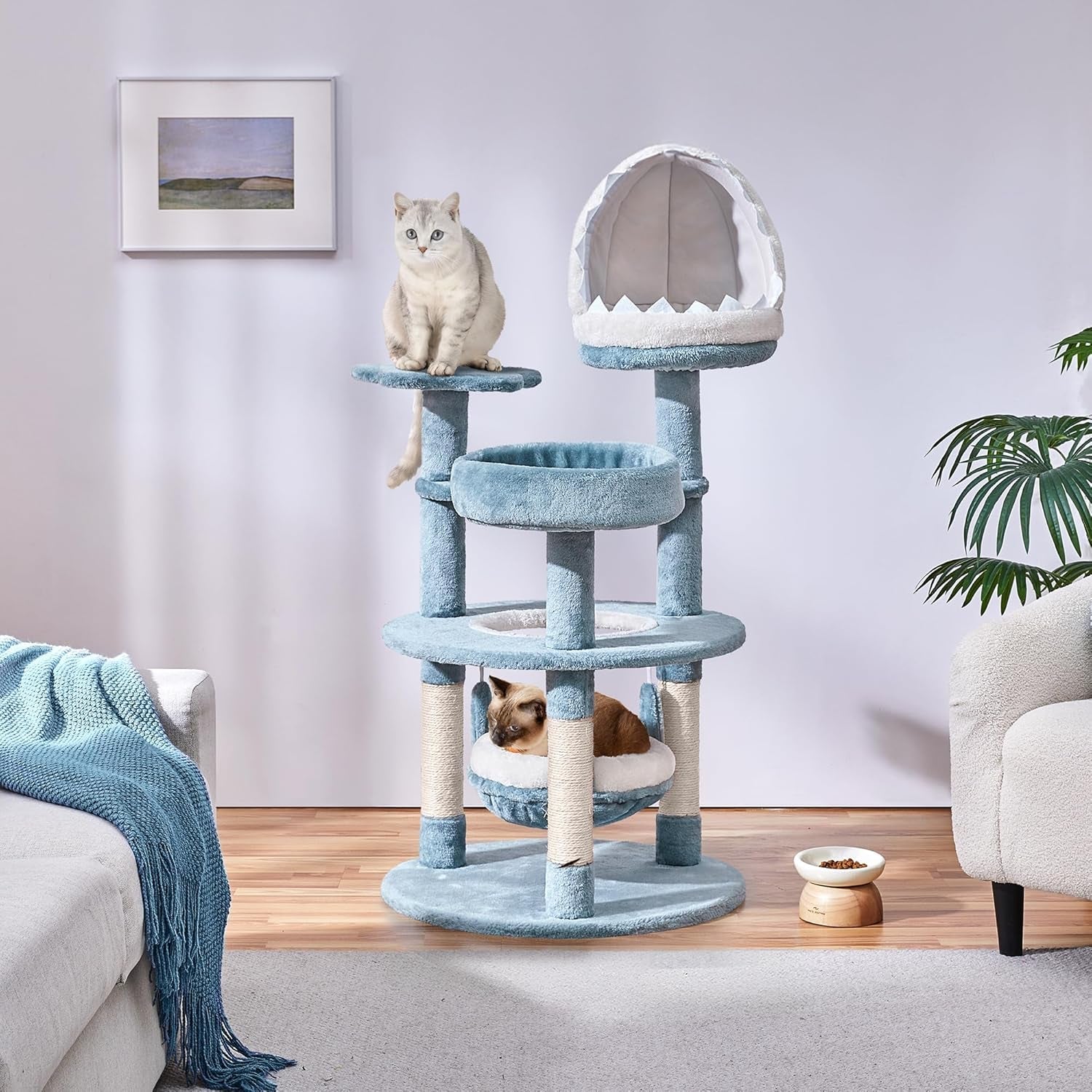 Pături & Mobilier, Animale de companie, Pisici, Paturi pentru pisici, Scratching Post, Pisici - culcusuri, saltele