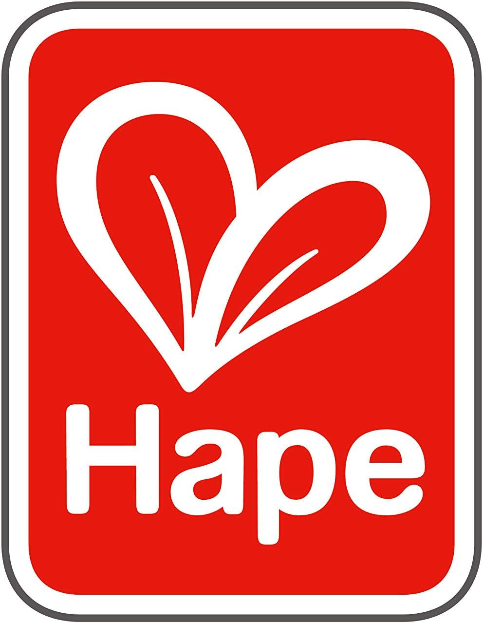 Hape Baby Room – Set cameră de păpuși din lemn, mobilier pentru păpuși pentru copii, accesorii pentru casă de păpuși pentru copii mici, cameră de copii în miniatură cu leagăn și accesorii, joc de rol de la 3 ani