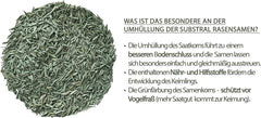 Substral Rasensamen Der Robuste, 1 Kg Für 50 M² - Sport- Und Spielrasen, Einzigartige Strapazierrasen-Mischung